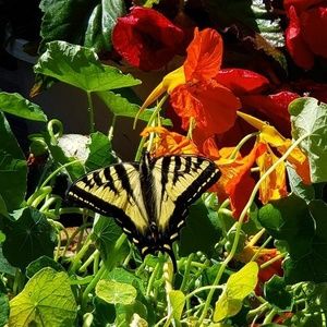 Meet your Posher, Judy